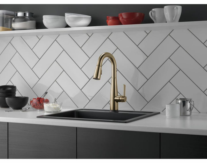 9913T-CZ-DST product image.