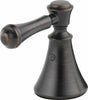 Venetian Bronze