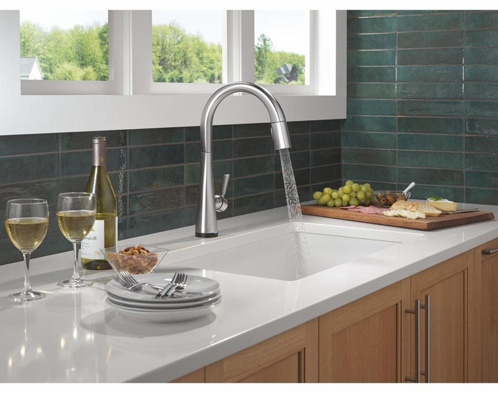 9191TL-AR-PR-DST product image.