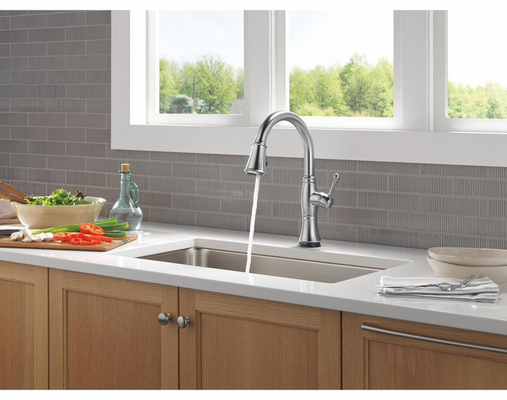 9197TL-AR-PR-DST product image.