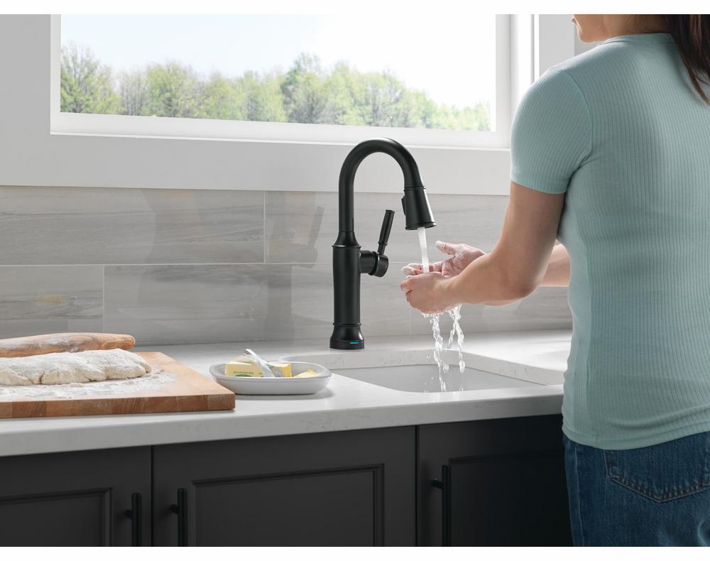 9984TL-BL-DST product image.