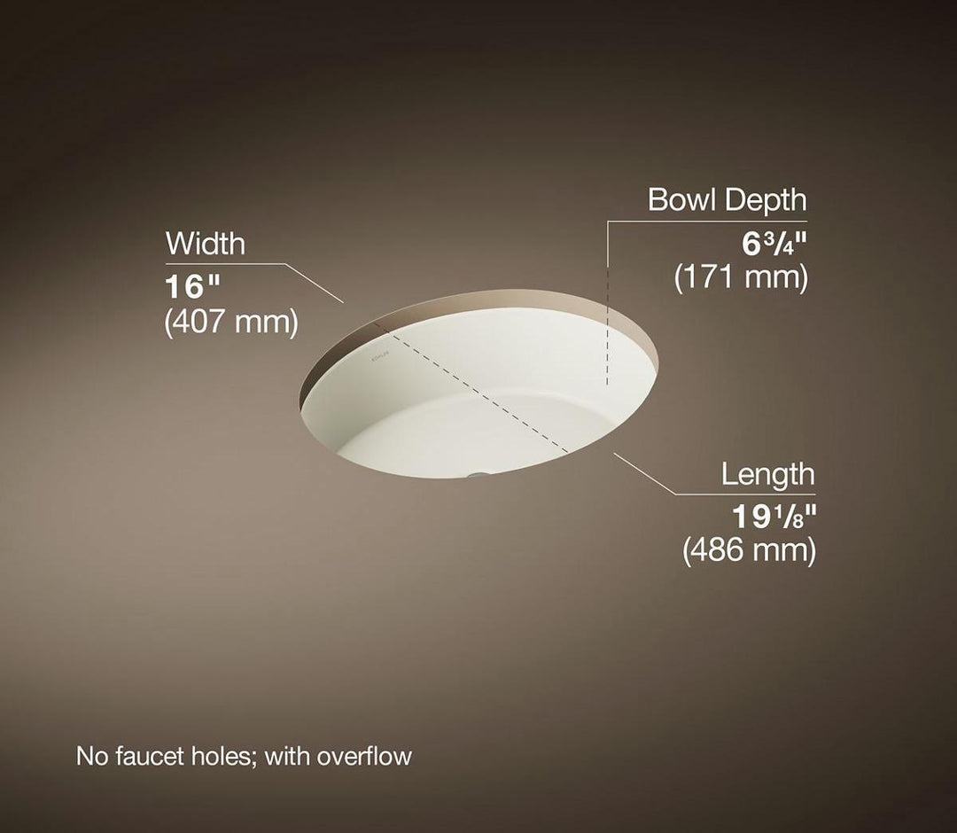 2881-96 product image.