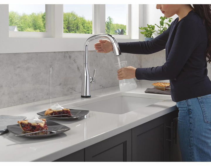 9176TL-PR-DST product image.