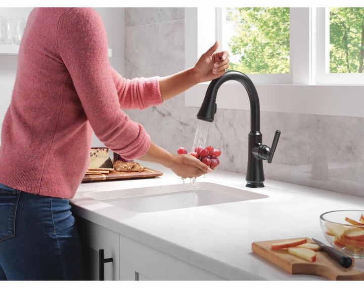 9979TL-BL-DST product image.