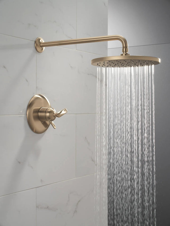 T17245-CZ-PR product image.