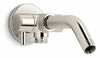 Vibrant Polished Nickel