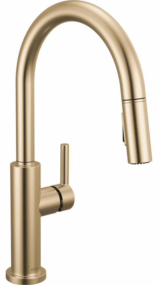 19867LF-CZ product image.