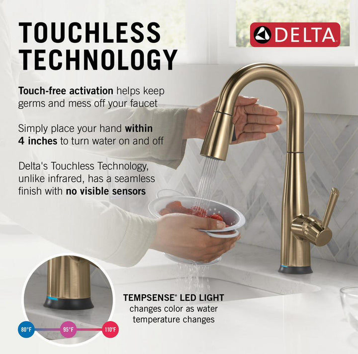 9913TL-CZ-DST product image.