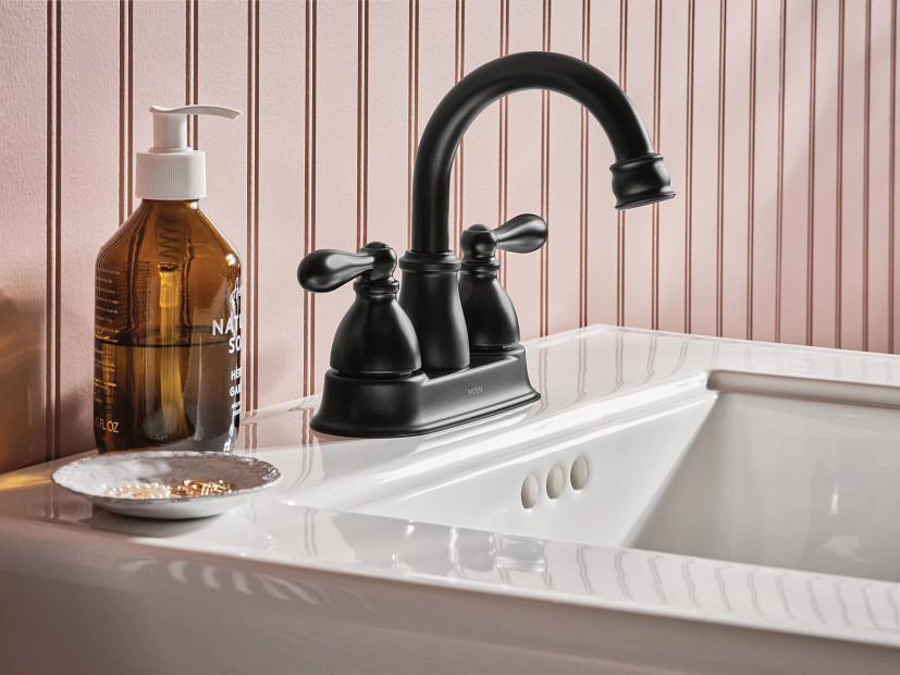 WS84667BL product image.