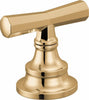 Polished Gold