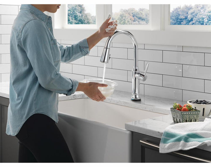 9184TL-PR-DST product image.