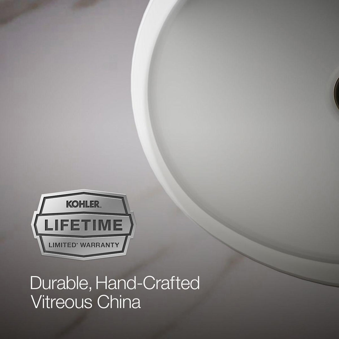 2881-0 product image.