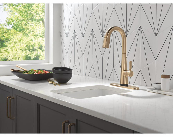 9991TL-CZ-PR-DST product image.