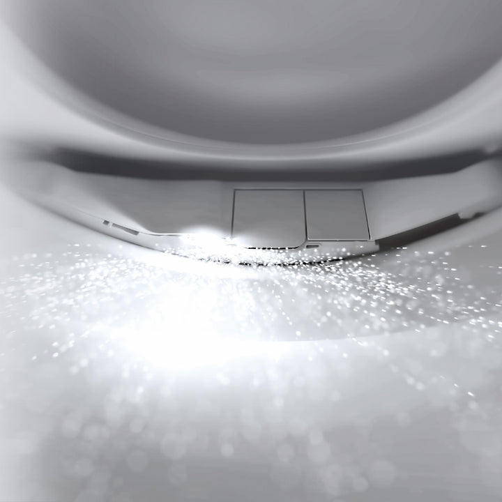 SW573#12 product image.