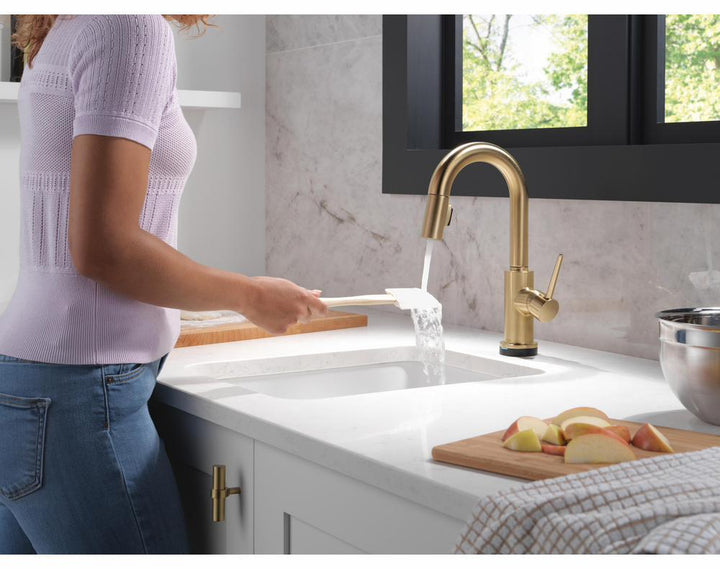 9959TL-CZ-DST product image.