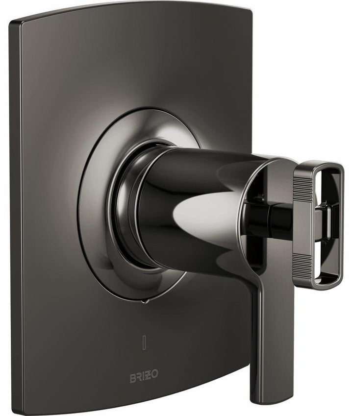 T60006-BNXLHP product image.