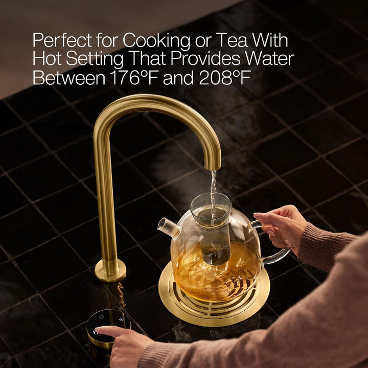 T30924-CP product image.
