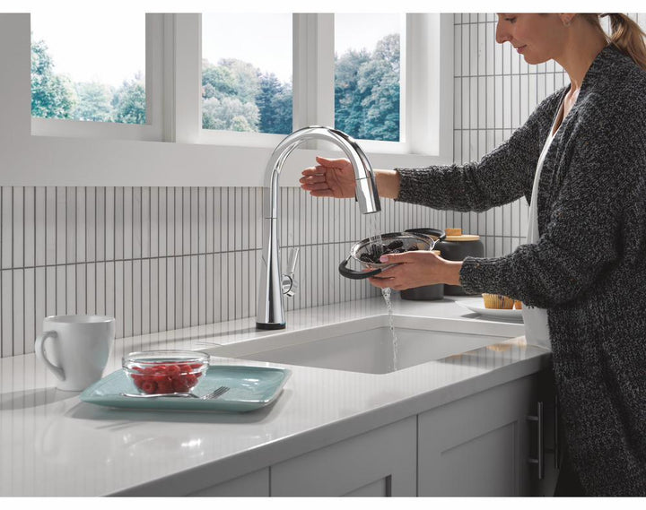 9191TL-PR-DST product image.