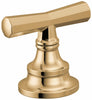 Polished Gold