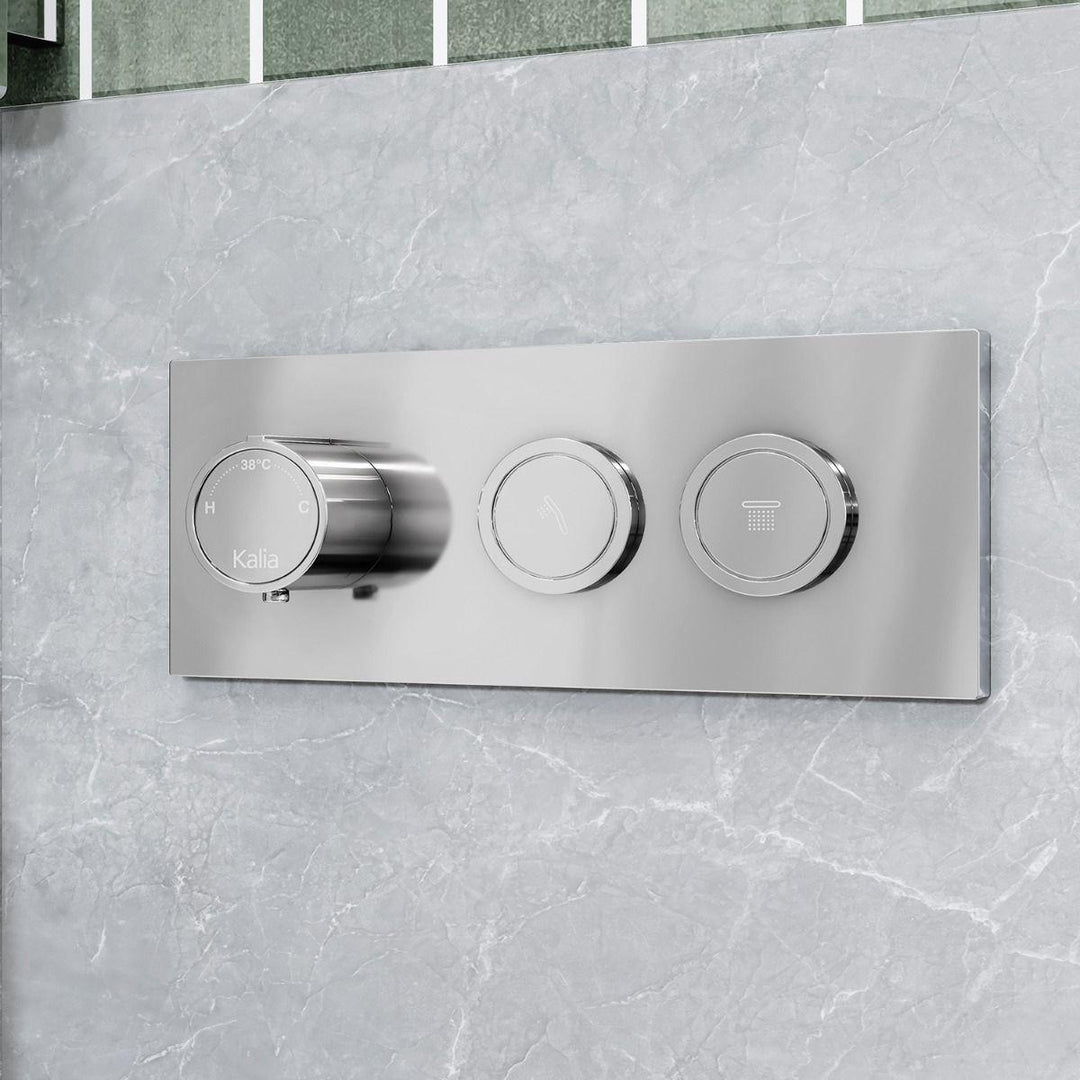 BF2100-110 product image.