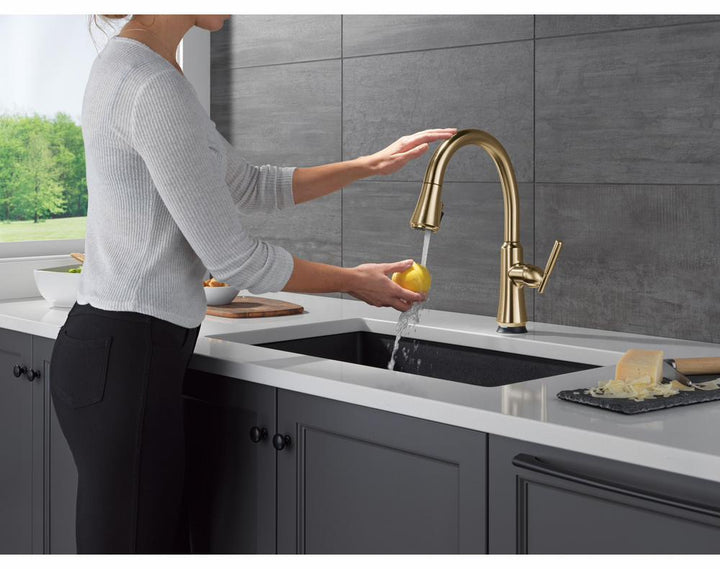 9179TL-CZ-DST product image.