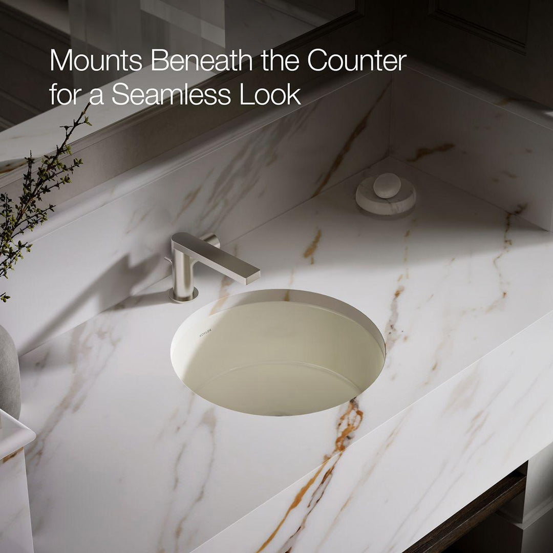 2883-96 product image.