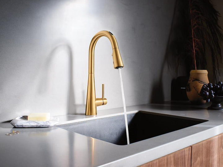 7864EVBG product image.