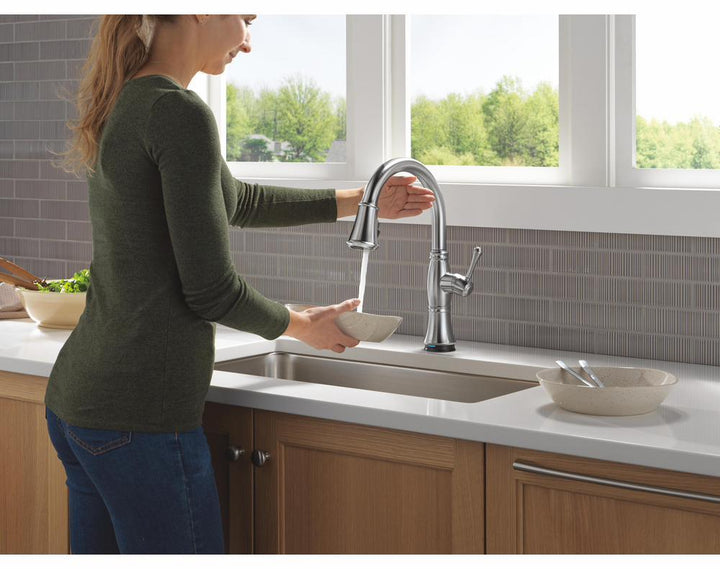 9197TL-AR-PR-DST product image.