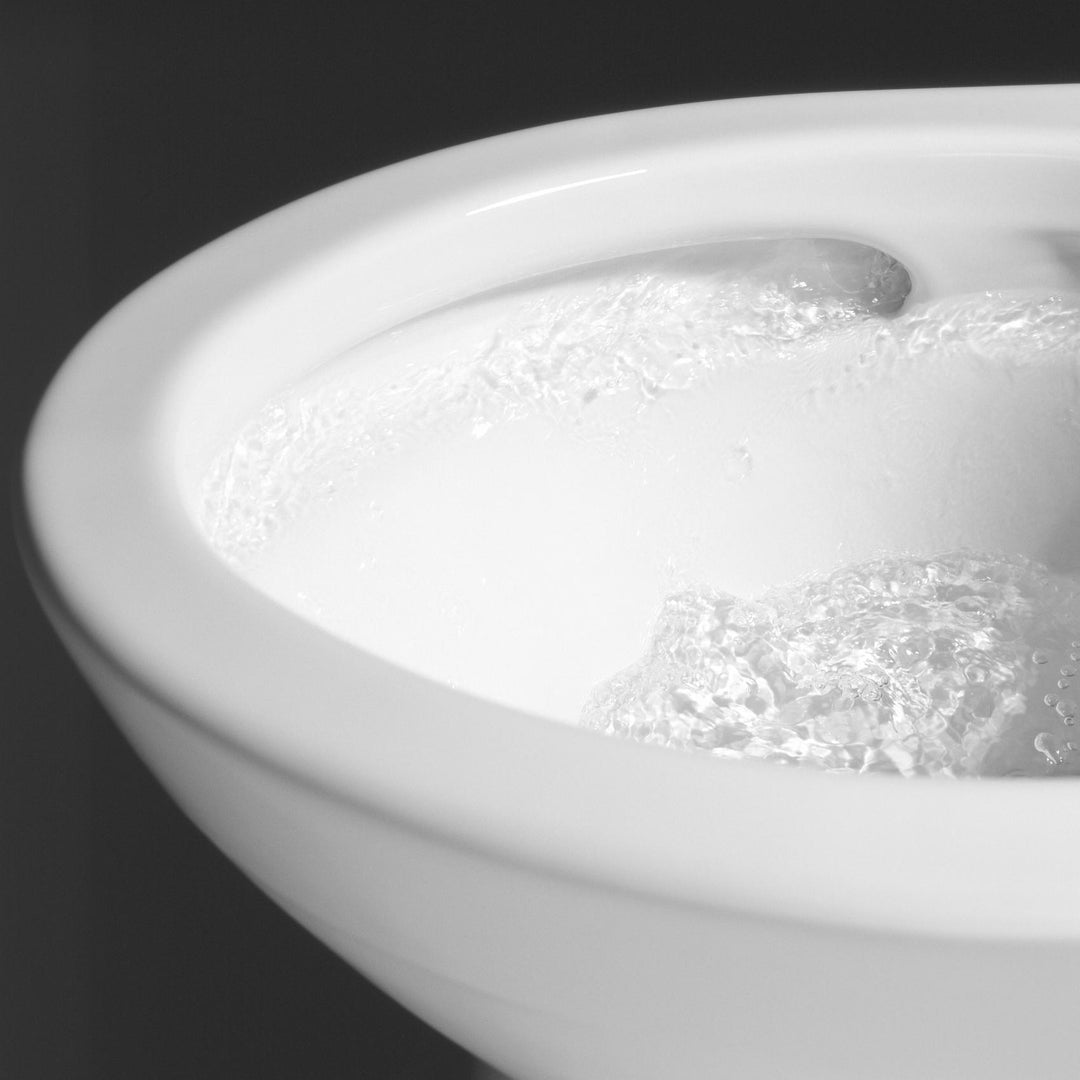 MS974224CEFG#11 product image.