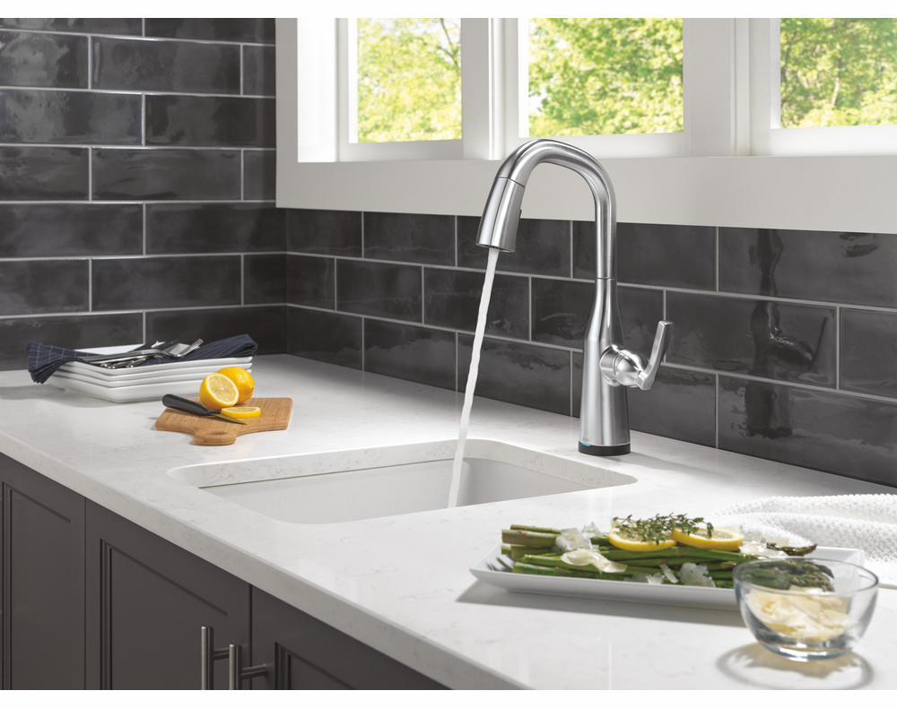 9976TL-AR-PR-DST product image.