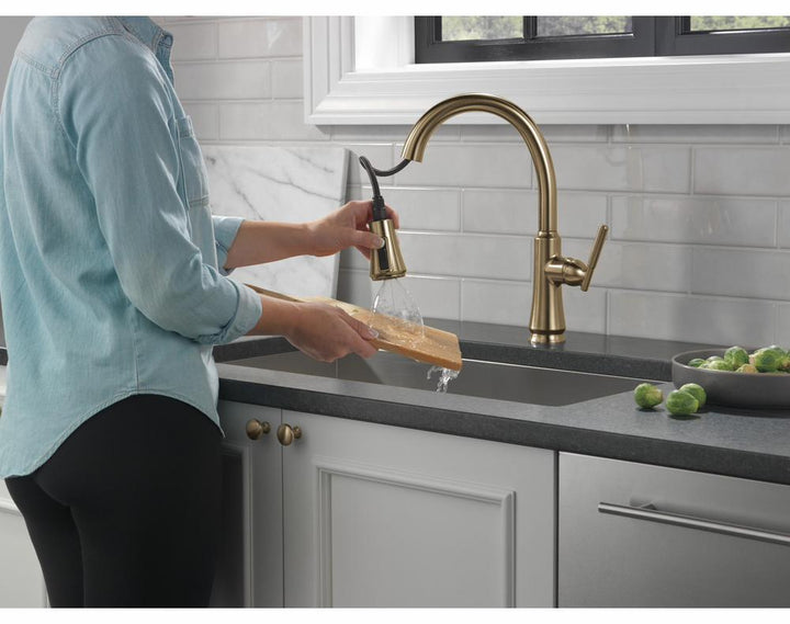 9179-CZ-DST product image.