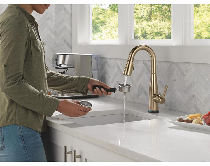 9913TL-CZ-DST product image.