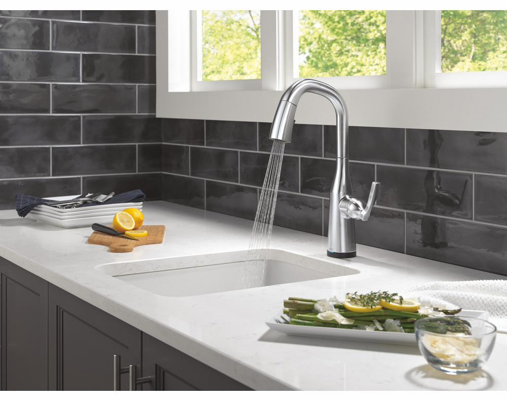 9976TL-AR-PR-DST product image.