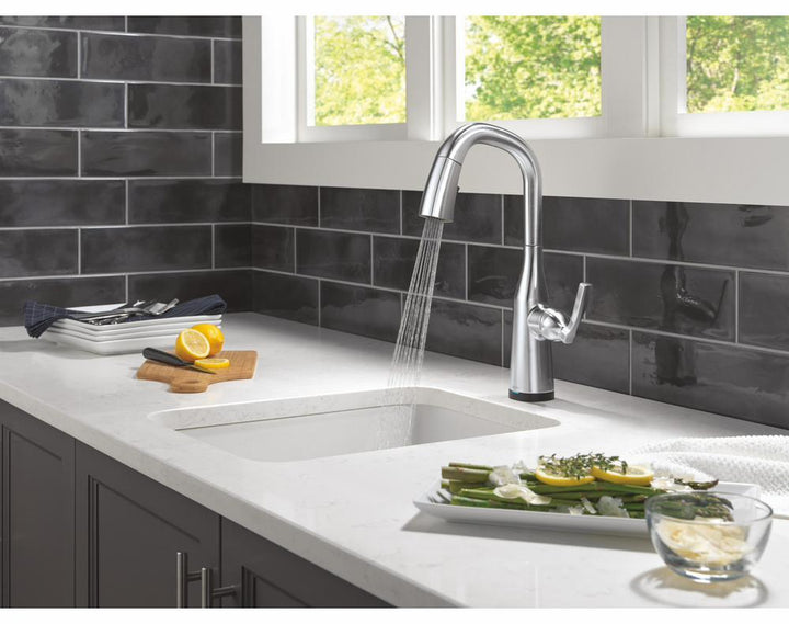 9976TL-AR-PR-DST product image.