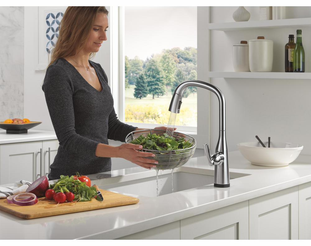 9176TL-AR-PR-DST product image.
