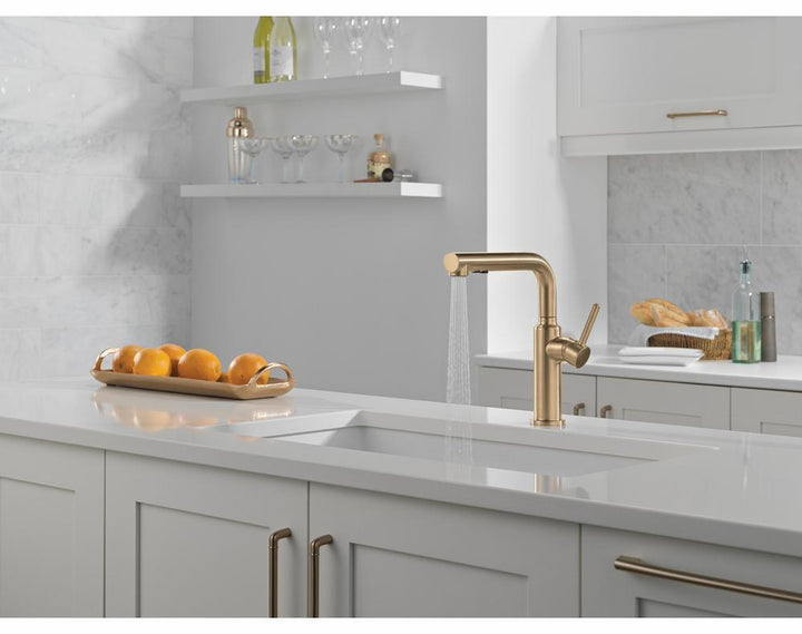16879-CZ-DST product image.