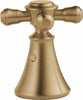Champagne Bronze