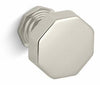 Vibrant Polished Nickel