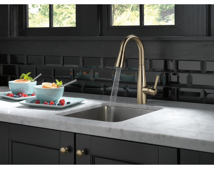 9913-CZ-DST product image.