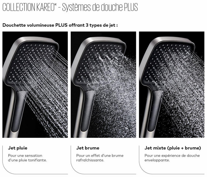 BF2100-110-100 product image.