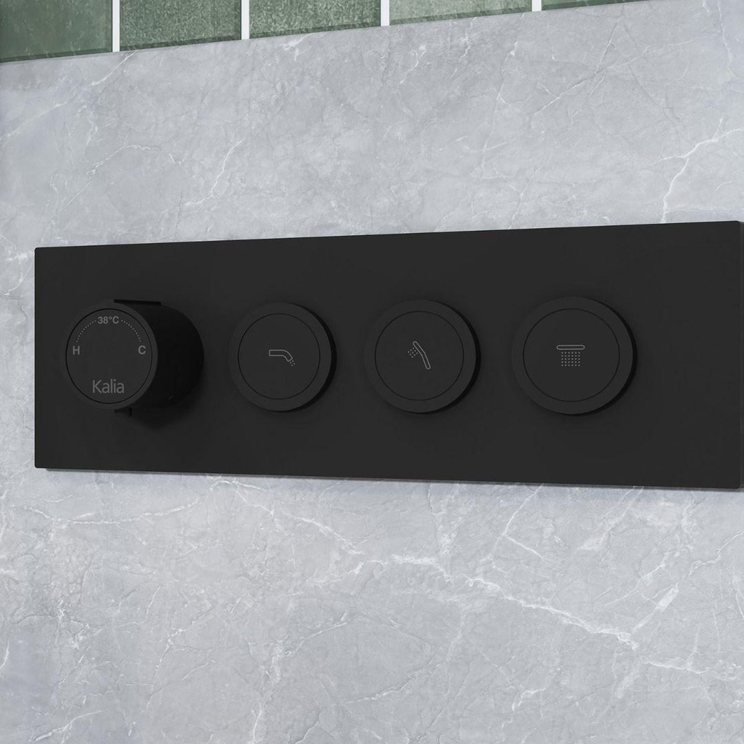 BF2066-160-001 product image.