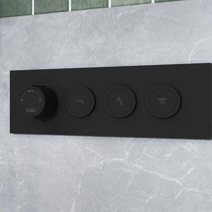 BF2066-160-001 product image.