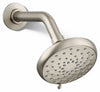 Vibrant Brushed Nickel