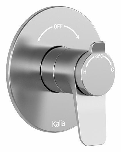 BF2172-110 product image.