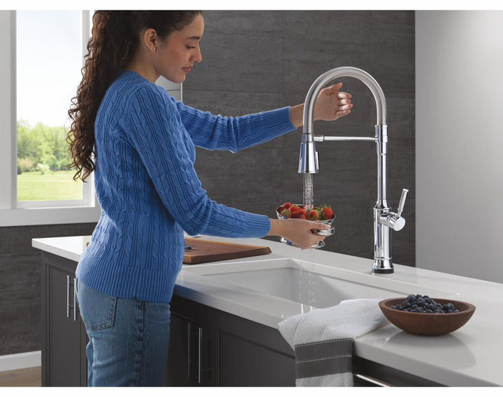9684TL-PR-DST product image.