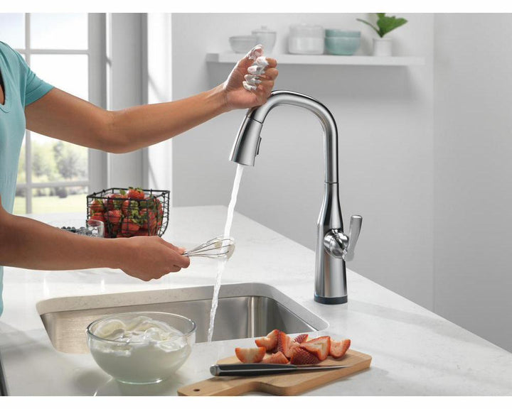 9976T-AR-PR-DST product image.