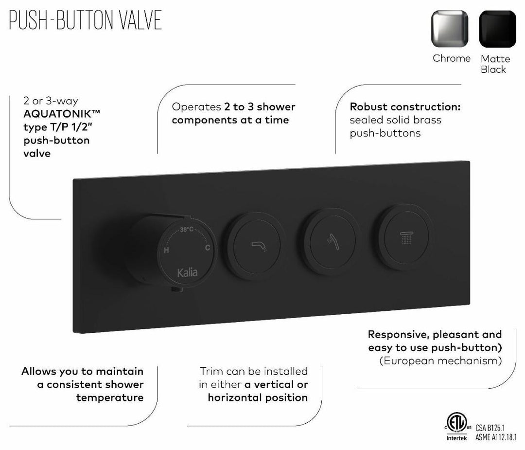 BF2066-125-001 product image.