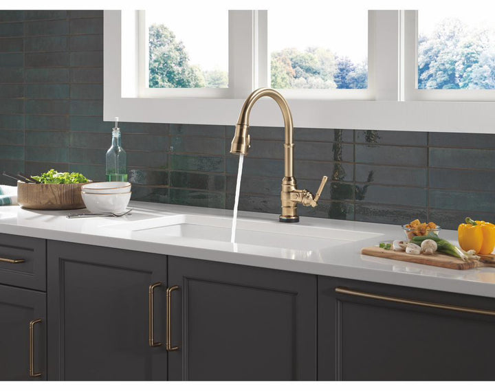 9190TL-CZ-DST product image.