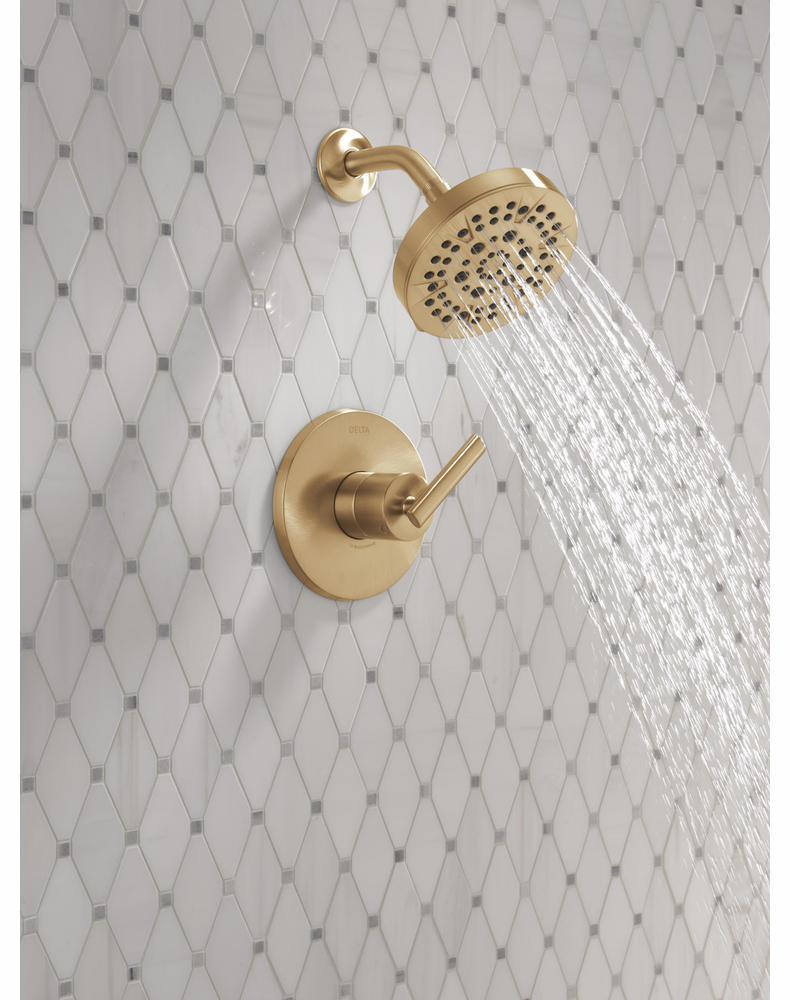 T14242-CZ product image.