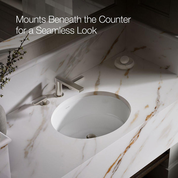 2881-0 product image.